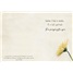 Friendship - Encouragement SCD44429
